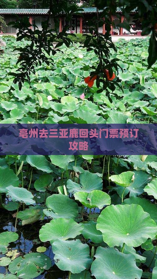 亳州去三亚鹿回头门票预订攻略