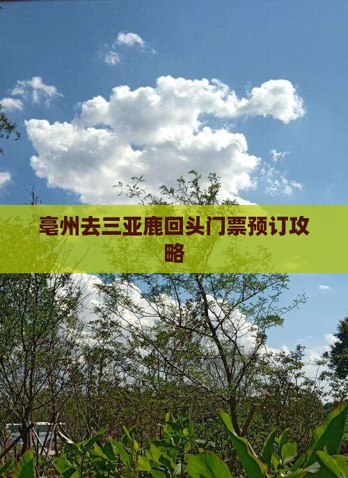 亳州去三亚鹿回头门票预订攻略