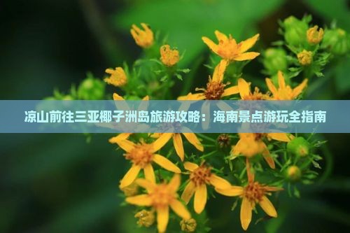 凉山前往三亚椰子洲岛旅游攻略：海南景点游玩全指南