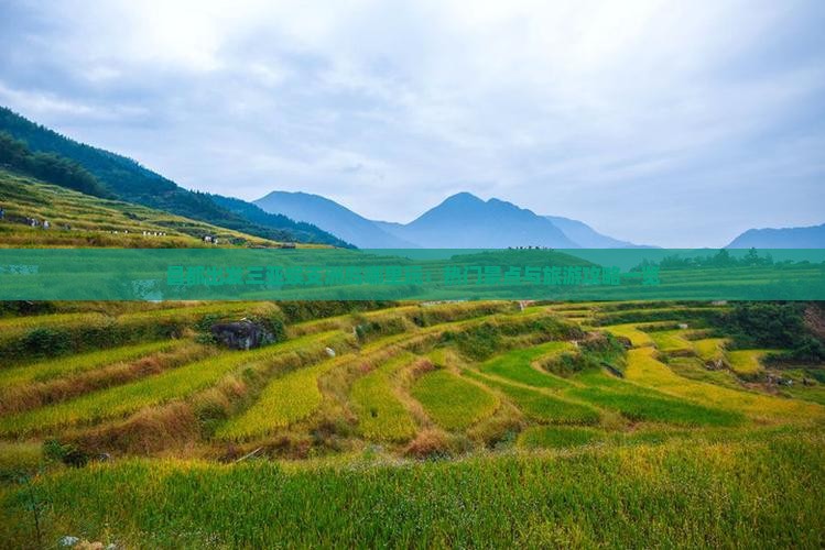昌都出发三亚蜈支洲岛哪里玩：热门景点与旅游攻略一览