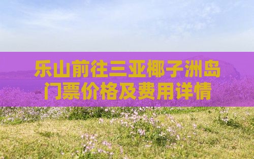 乐山前往三亚椰子洲岛门票价格及费用详情
