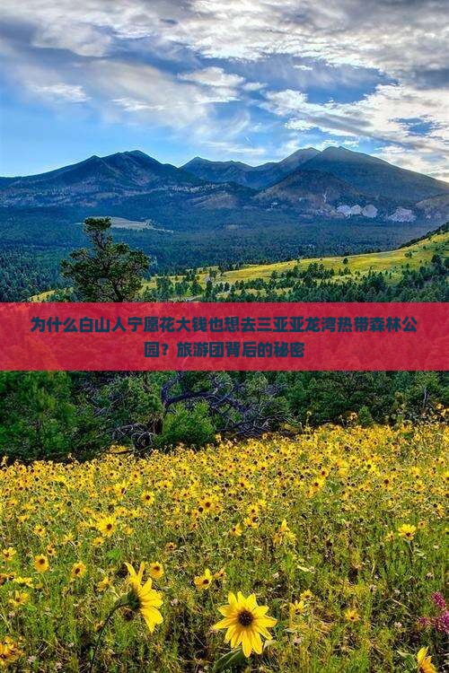 为什么白山人宁愿花大钱也想去三亚亚龙湾热带森林公园？旅游团背后的秘密