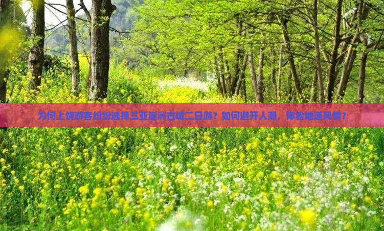 为何上饶游客纷纷选择三亚崖洲古城二日游？如何避开人潮，体验地道风情？