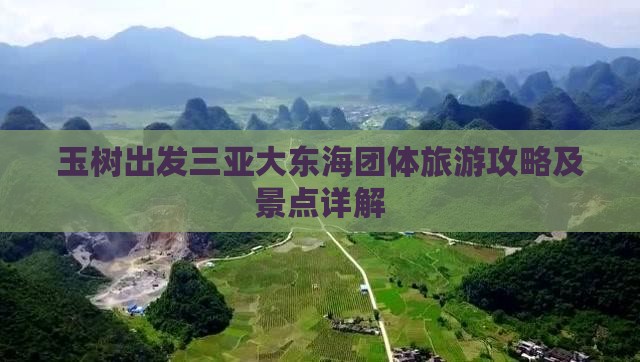 玉树出发三亚大东海团体旅游攻略及景点详解