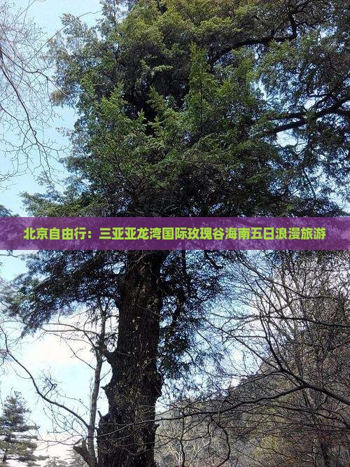 北京自由行：三亚亚龙湾国际玫瑰谷海南五日浪漫旅游