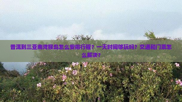 普洱到三亚南湾猴岛怎么安排行程？一天时间够玩吗？交通和门票怎么解决？
