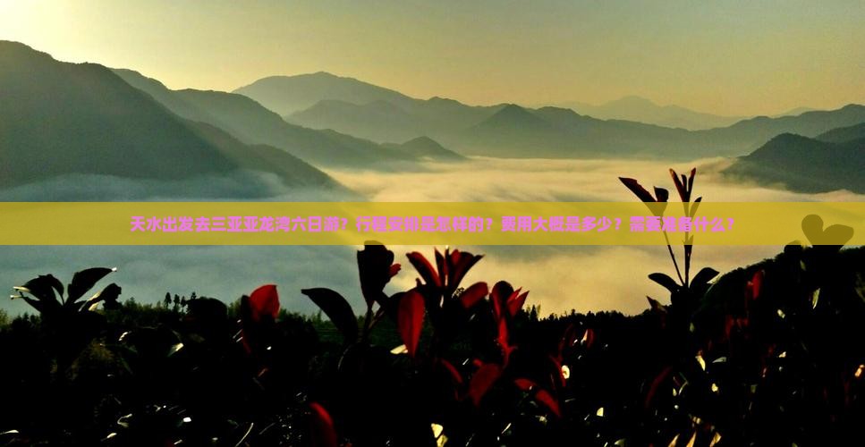 天水出发去三亚亚龙湾六日游？行程安排是怎样的？费用大概是多少？需要准备什么？