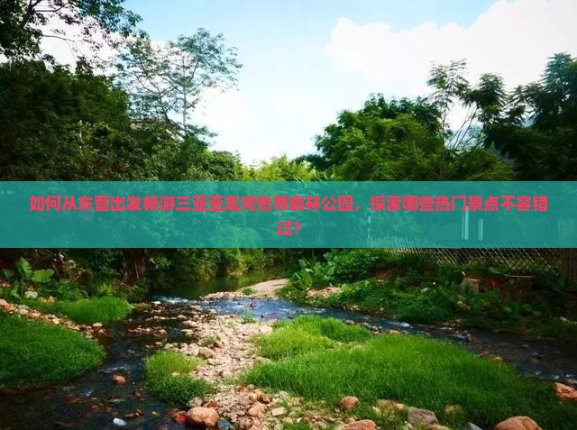 如何从东营出发畅游三亚亚龙湾热带森林公园，探索哪些热门景点不容错过？