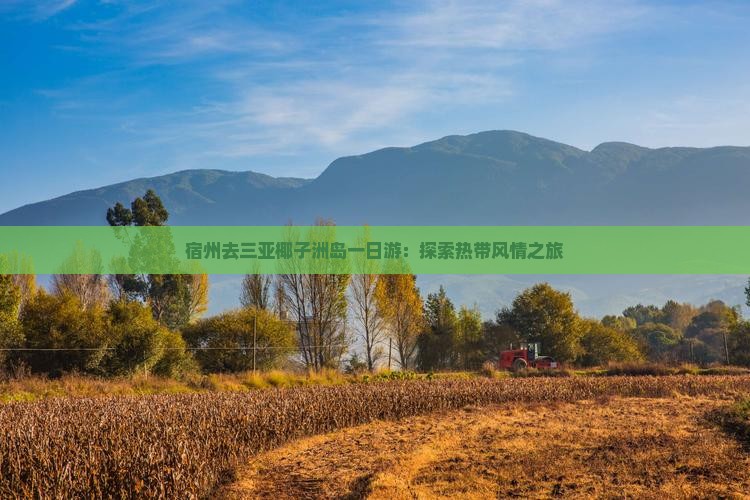 宿州去三亚椰子洲岛一日游：探索热带风情之旅