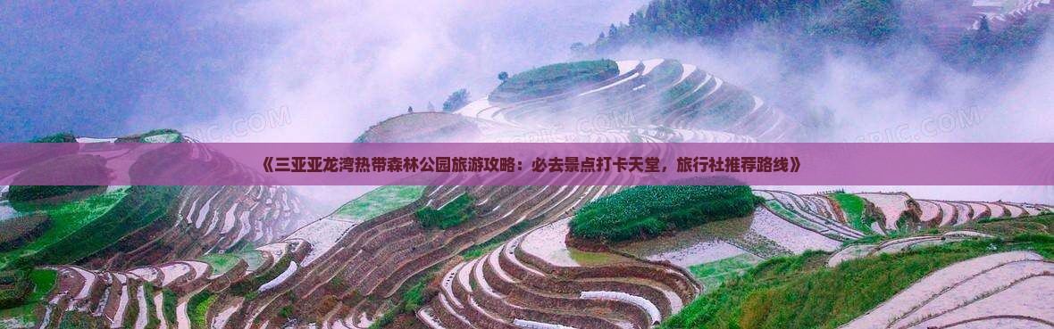 《三亚亚龙湾热带森林公园旅游攻略：必去景点打卡天堂，旅行社推荐路线》