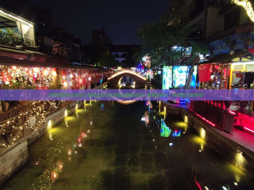 如何组织枣庄前往三亚南山文化旅游区的团体旅游？费用是多少？有哪些注意事项？