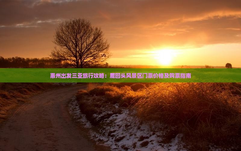 惠州出发三亚旅行攻略：鹿回头风景区门票价格及购票指南