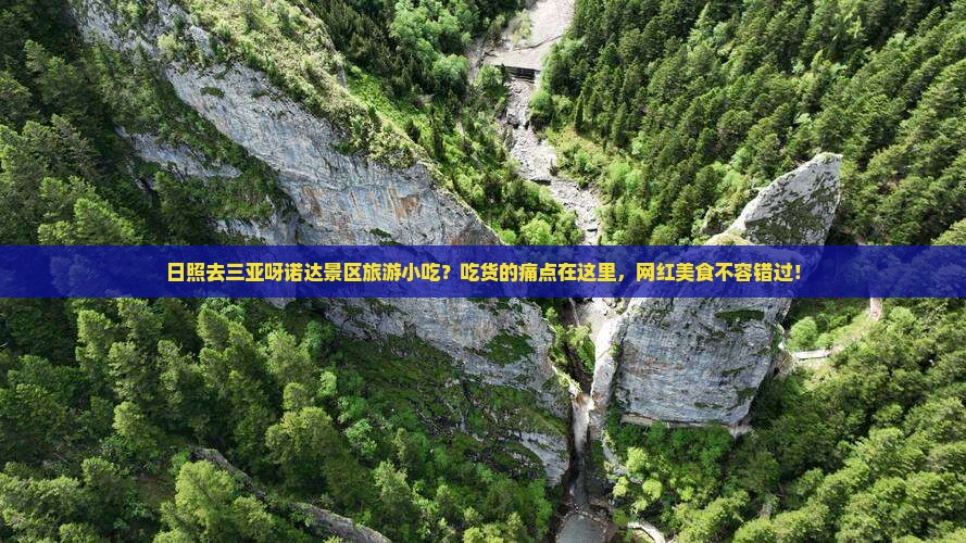 日照去三亚呀诺达景区旅游小吃？吃货的痛点在这里，网红美食不容错过！