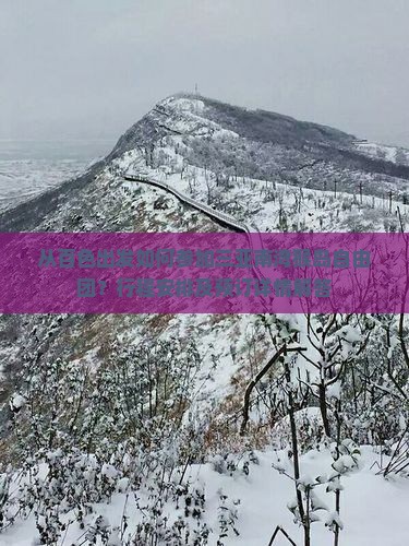 从百色出发如何参加三亚南湾猴岛自由团？行程安排及预订详情解答