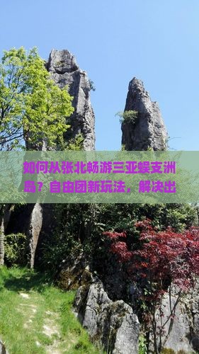 如何从张北畅游三亚蜈支洲岛？自由团新玩法，解决出行痛点！