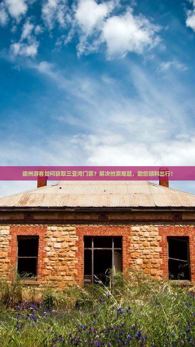 德州游客如何获取三亚湾门票？解决抢票难题，助您顺利出行！