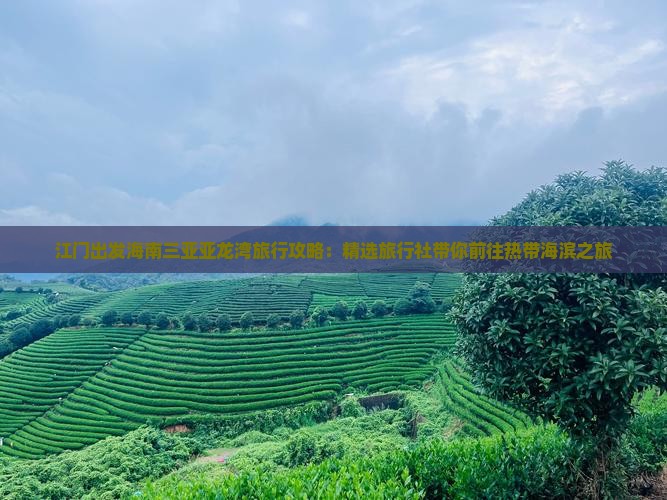 江门出发海南三亚亚龙湾旅行攻略：精选旅行社带你前往热带海滨之旅