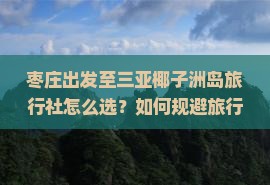 枣庄出发至三亚椰子洲岛旅行社怎么选？如何规避旅行陷阱，享施游体验？