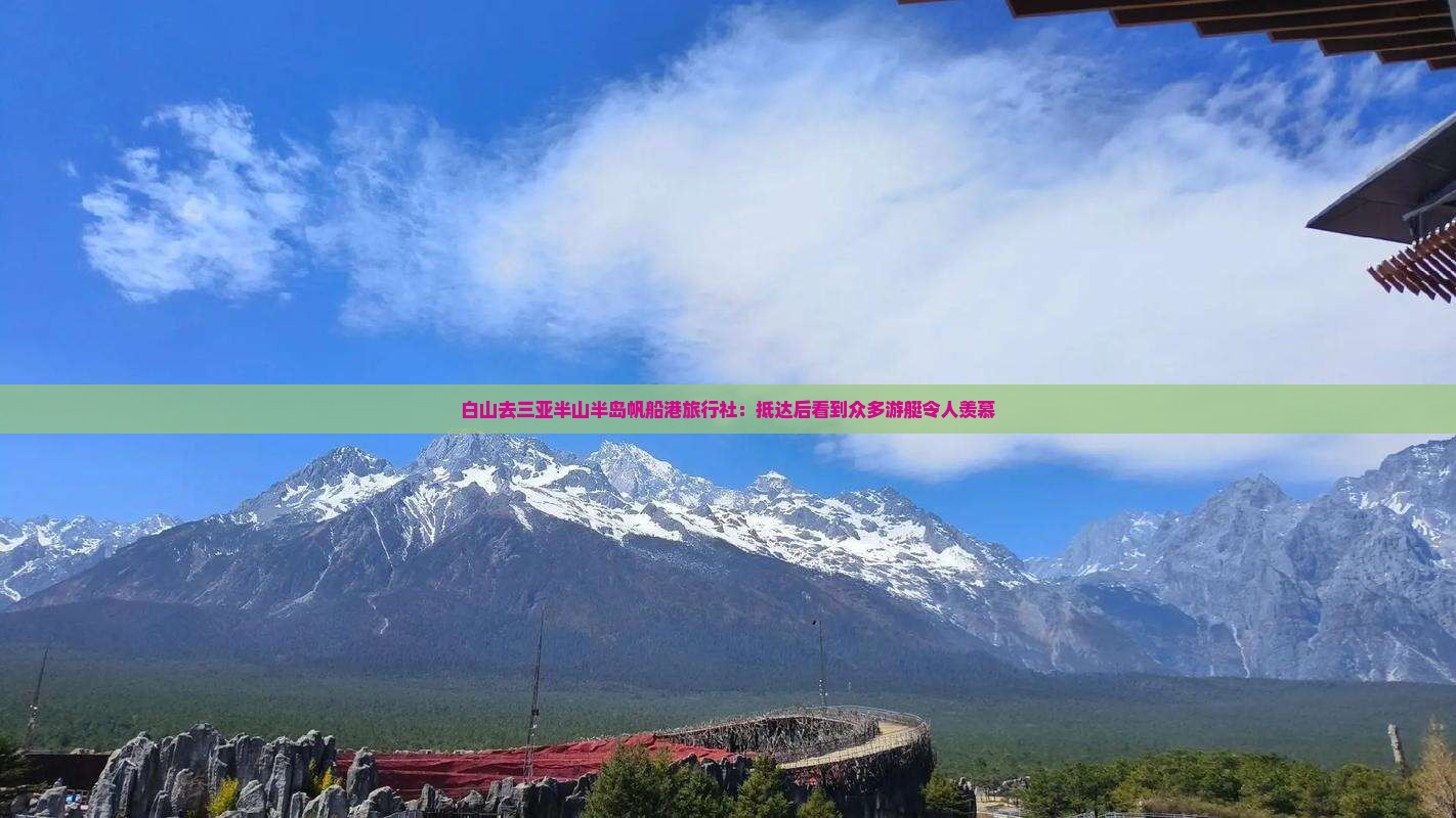 白山去三亚半山半岛帆船港旅行社：抵达后看到众多游艇令人羡慕