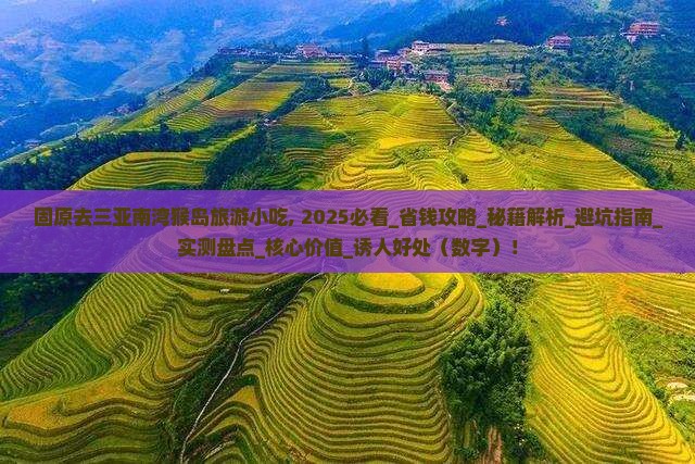 固原去三亚南湾猴岛旅游小吃