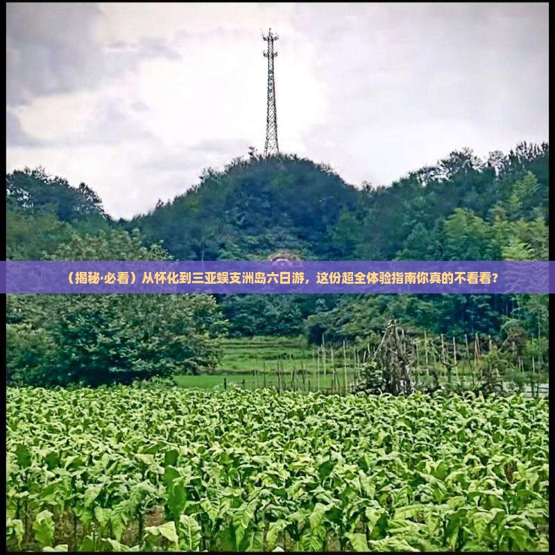 怀化出发三亚蜈支洲岛六日游