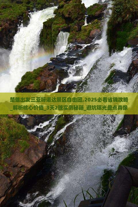 楚雄出发三亚呀诺达景区自由团