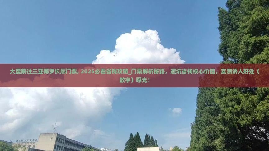 大理前往三亚椰梦长廊门票