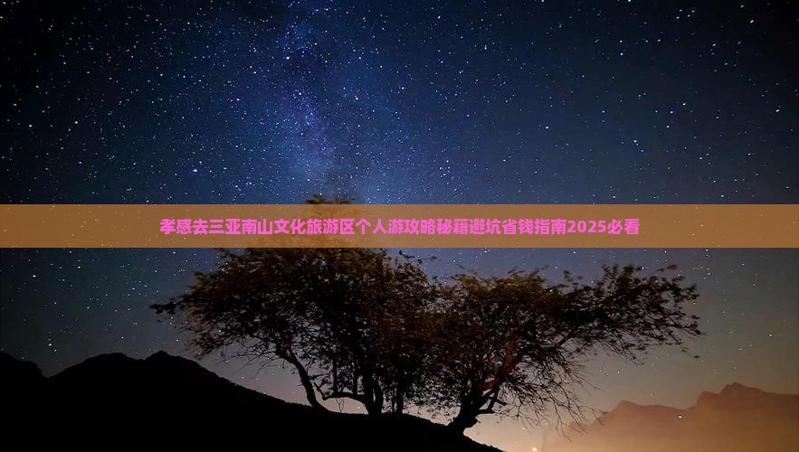 孝感去三亚南山文化旅游区个人游 孝感去三亚南山文化旅游区个人游
