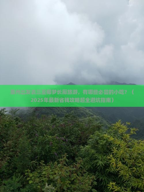惠州出发三亚椰梦长廊旅游小吃