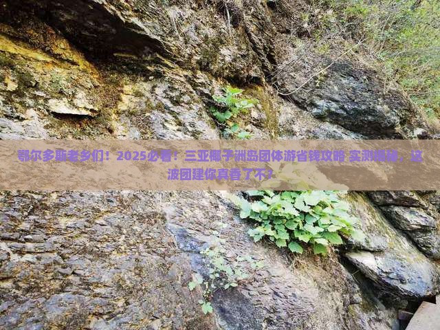 鄂尔多斯去三亚椰子洲岛团体旅游