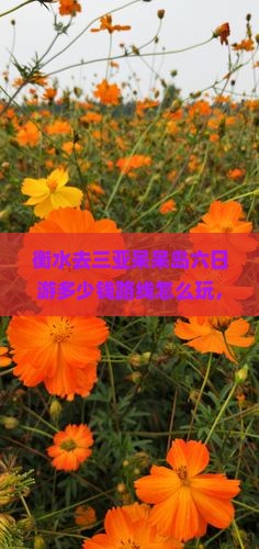 衡水去三亚呆呆岛六日游