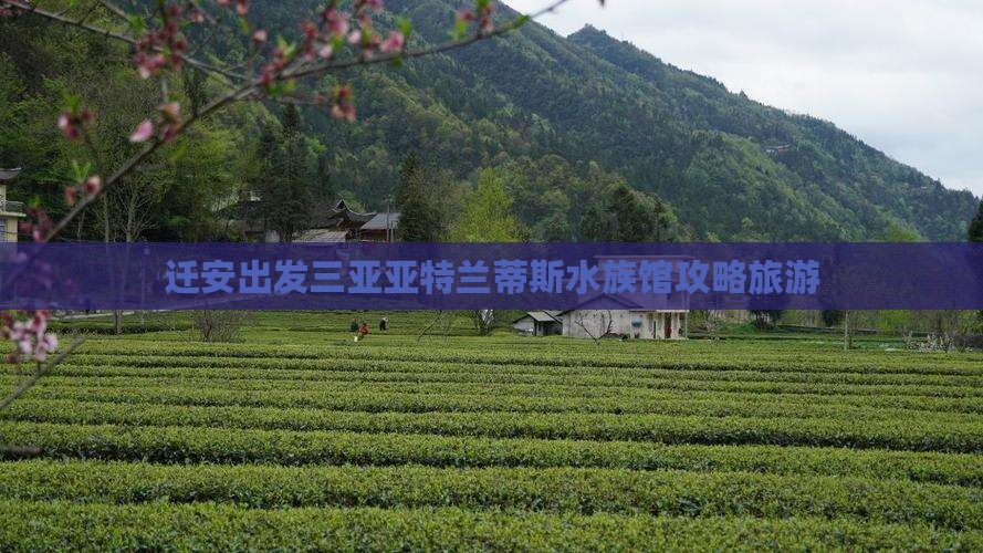 迁安出发三亚亚特兰蒂斯水族馆自由团