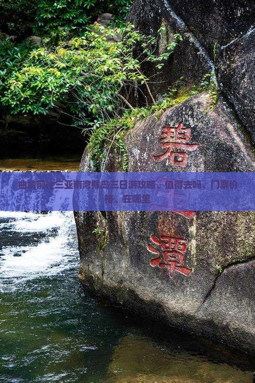 曲靖前往三亚南湾猴岛三日游