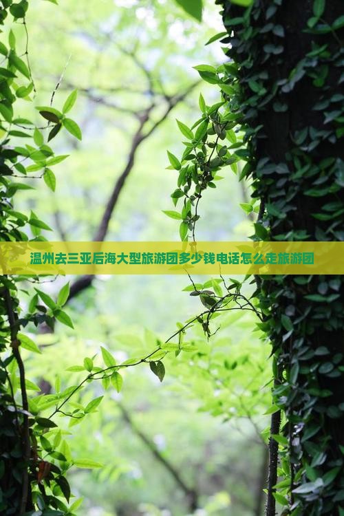 温州去三亚后海大型旅游团