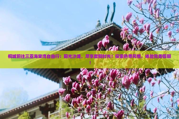 桐城前往三亚海棠湾自由行
