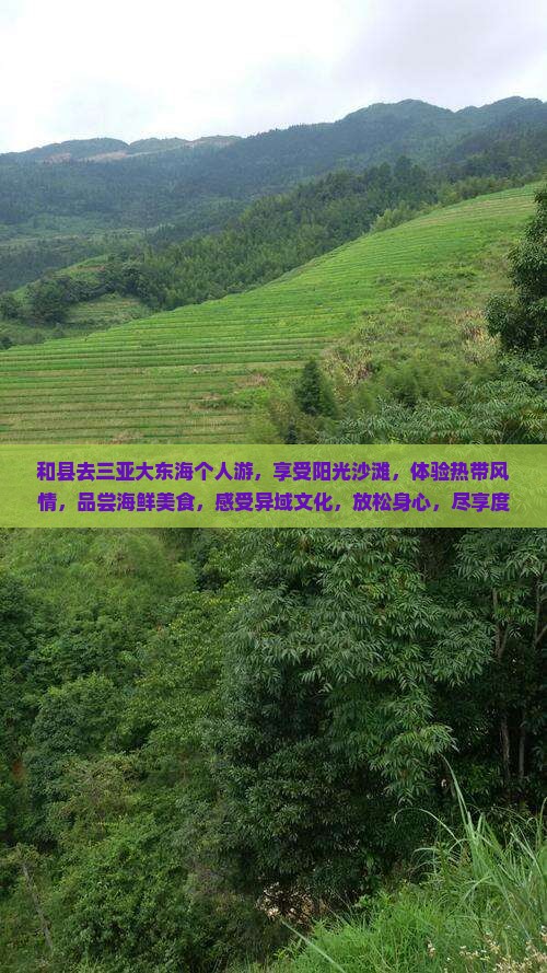 和县去三亚大东海个人游