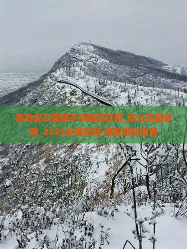 青岛去三亚椰子洲岛四日游