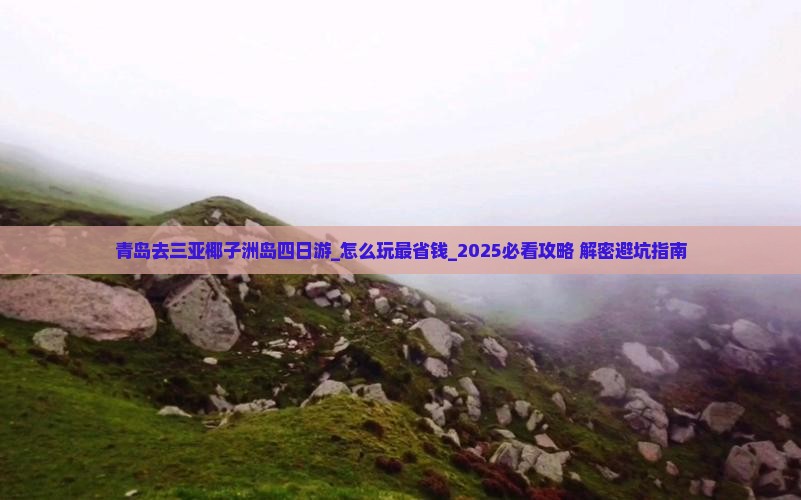 青岛去三亚椰子洲岛四日游