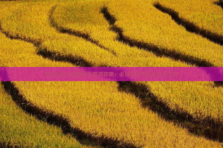 雅安前往三亚鹿回头哪里玩