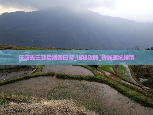 庆阳去三亚后海四日游