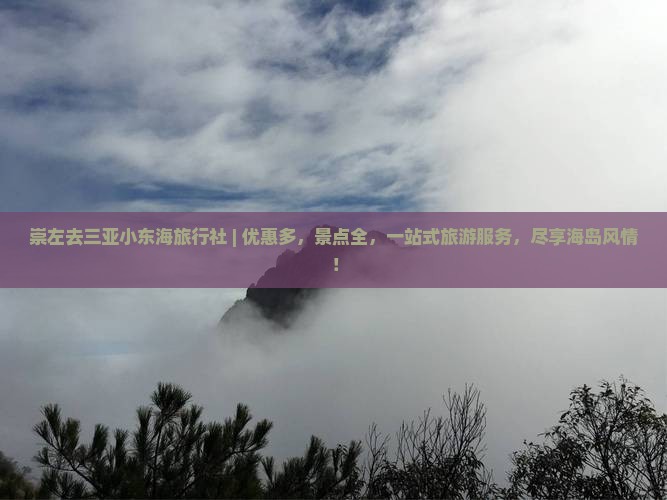 崇左去三亚小东海旅行社