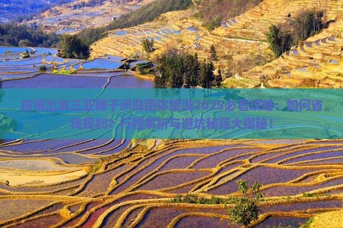 白银出发三亚椰子洲岛团体旅游