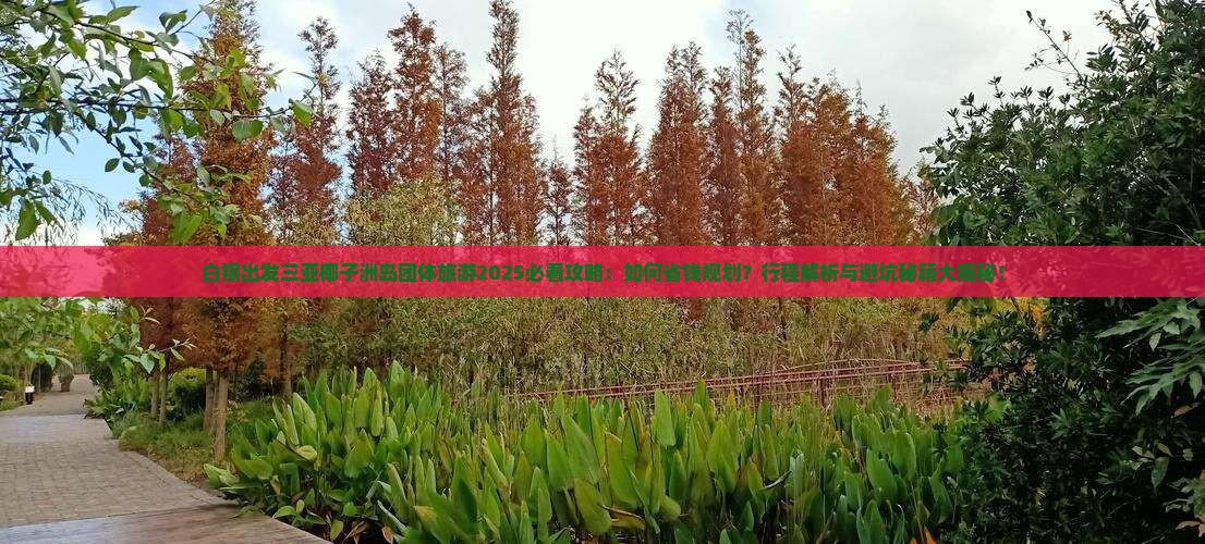 白银出发三亚椰子洲岛团体旅游