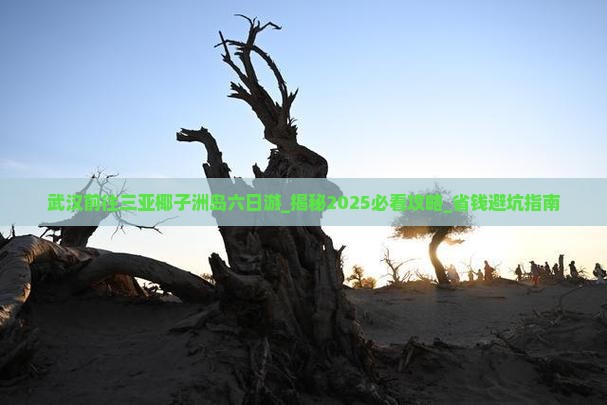 武汉前往三亚椰子洲岛六日游
