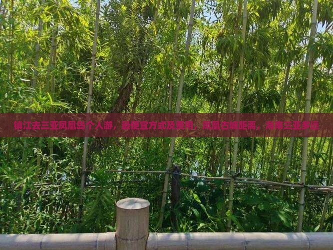 镇江去三亚凤凰岛个人游