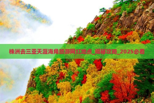 株洲去三亚天涯海角旅游网红地点