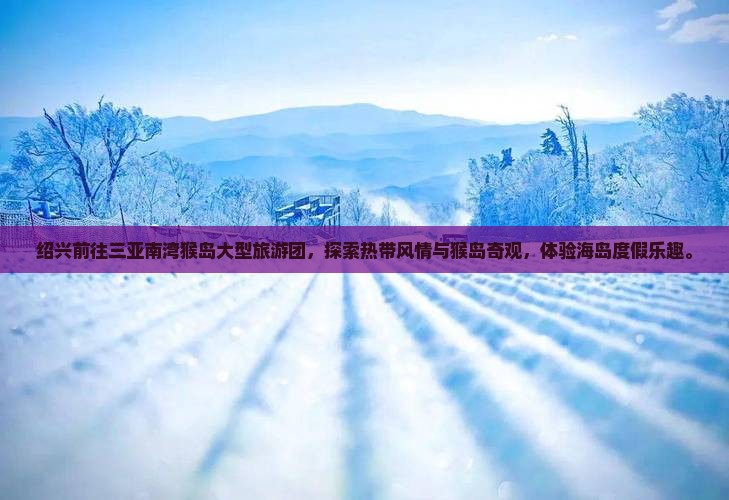 绍兴前往三亚南湾猴岛大型旅游团