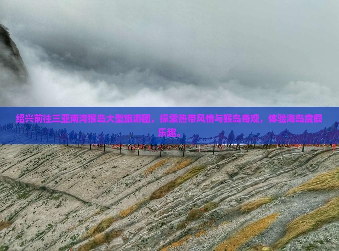 绍兴前往三亚南湾猴岛大型旅游团