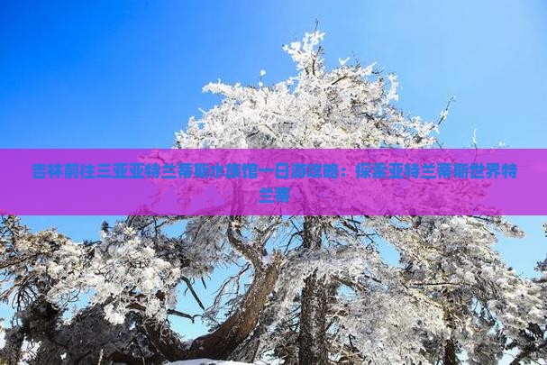 吉林前往三亚亚特兰蒂斯水族馆一日游