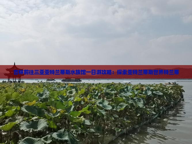 吉林前往三亚亚特兰蒂斯水族馆一日游